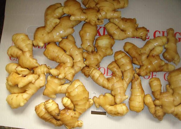 New Crop Fresh Ginger Organic From China High Quality Bulk Price