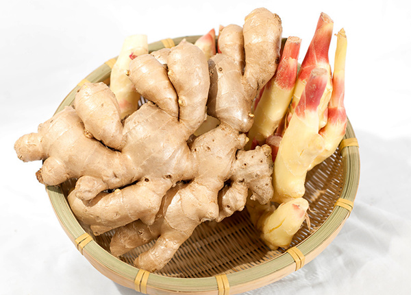 New Crop Fresh Ginger Organic From China High Quality Bulk Price