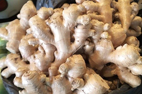 new crop ginger reservation frsh ginger air dried ginger 2023