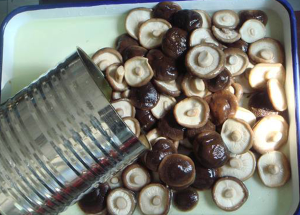 Canned Shiitake Mushroom