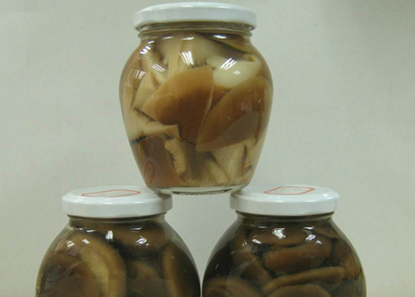 Canned Shiitake Mushroom