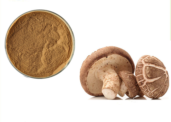 Shiitake Mushroom Extract