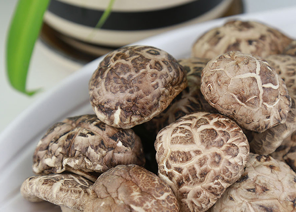 Dried Tea Flower Shiitake Mushroom