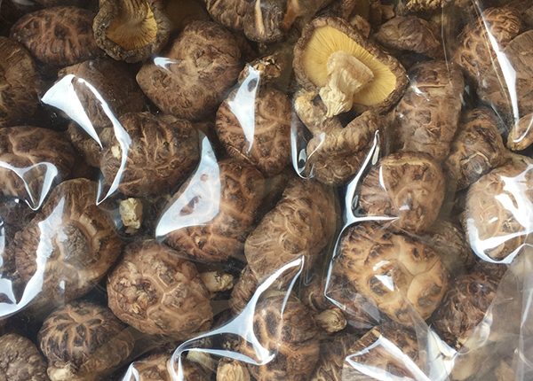 Dried Tea Flower Shiitake Mushroom