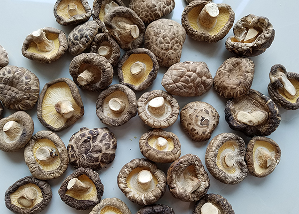 Dried Tea Flower Shiitake Mushroom