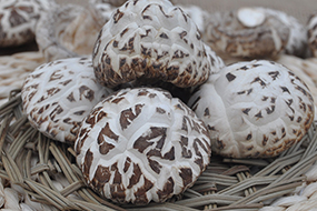 Dried White Flower Shiitake Mushroom