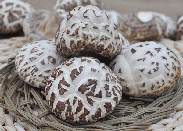Dried White Flower Shiitake Mushroom