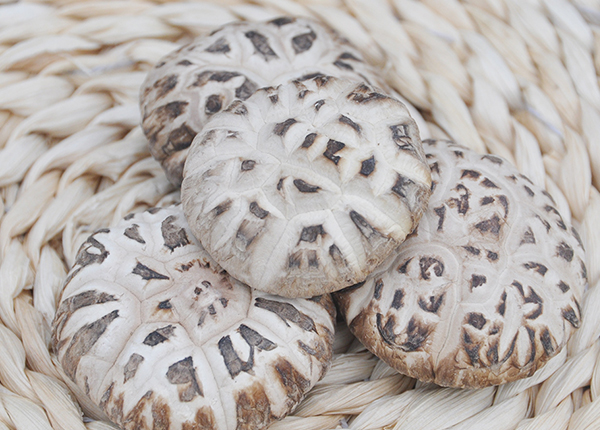 Dried White Flower Shiitake Mushroom