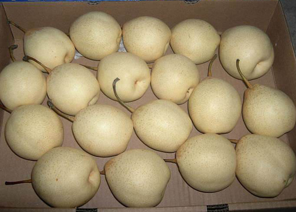 first grade quality pears