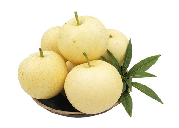 new crop fresh iso fengshui /golden /asian pear