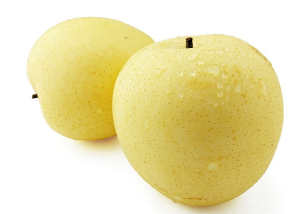 new crop fresh asia crown golden pear