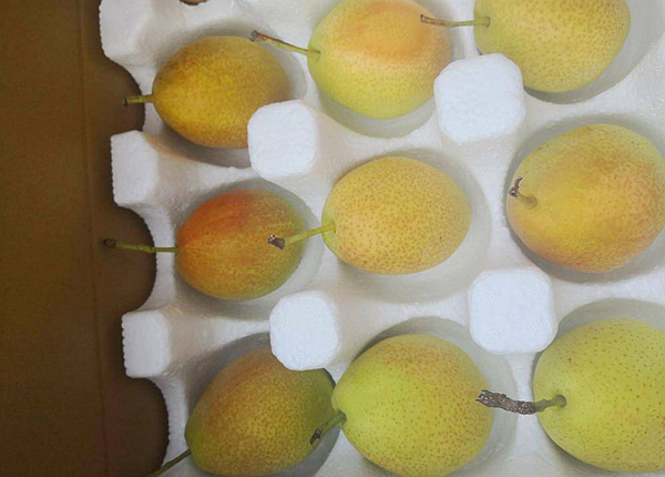 10kg carton packing fresh ya pear golden pear fragrant pear