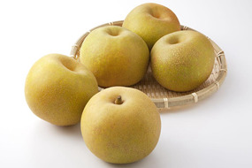 eu market super quality chinese fresh crown nashi pear