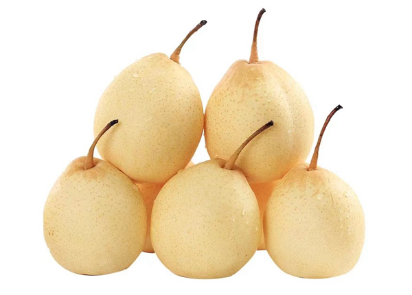 pear fresh ya pear at factory price