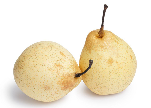 eu market super quality chinese fresh ya pear