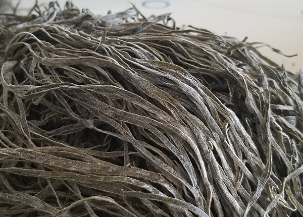 naturally dried sea kelp