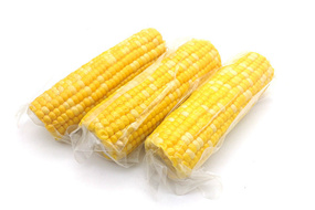 350g sweet kernel corn cob with vacuum packed by new crop from china supplier