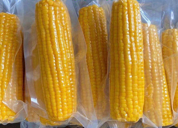 Sweet corn