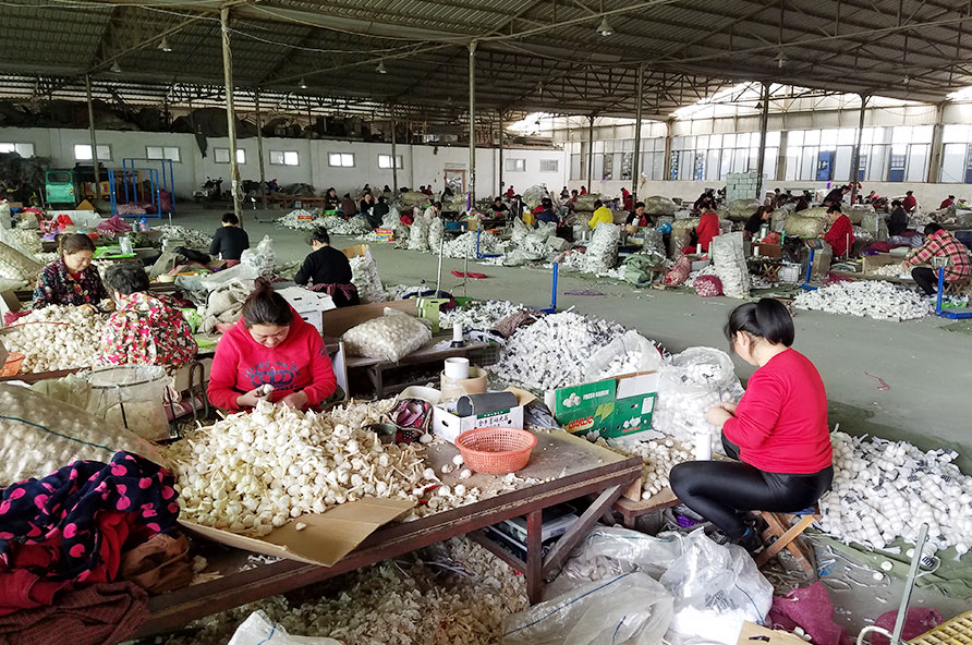 Garlic Branch Factory