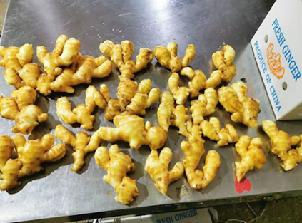 new ginger to Europe,new fresh ginger,dried ginger,250gram ginger