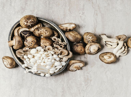 Shiitake Mushroom, Mushroom Health Benefits