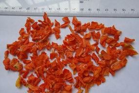 dehydrated vegetables dried carrot dices granules flake