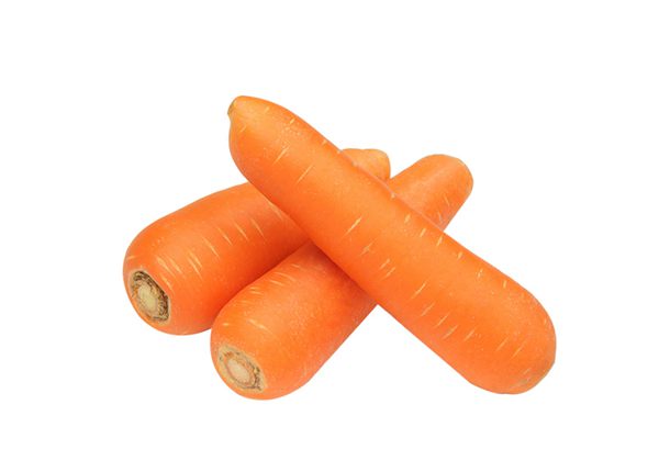 new crop fresh carrot