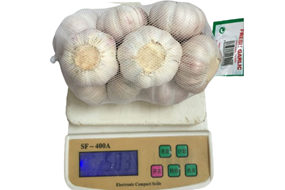 500gx20bags fresh white garlic exporter