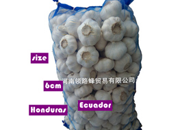 ajo garlic suppliers 20kg mesh bag fresh garlic to ecuador