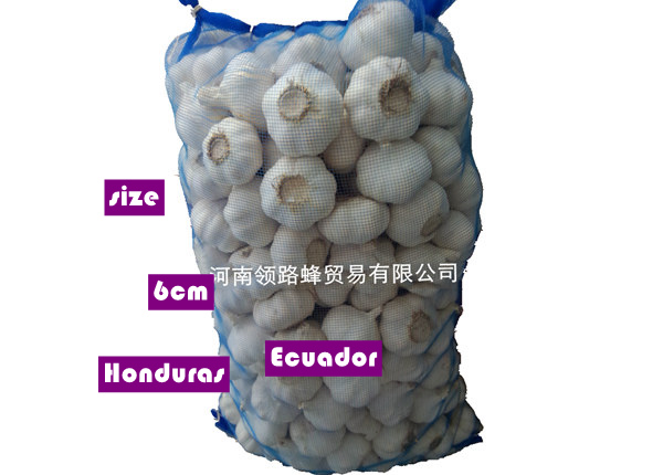 ajo garlic suppliers 20kg mesh bag fresh garlic to ecuador