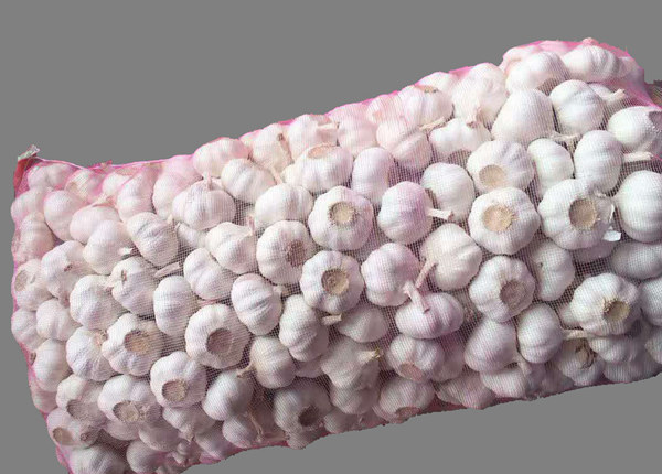 ajo garlic suppliers 20kg mesh bag fresh garlic to ecuador