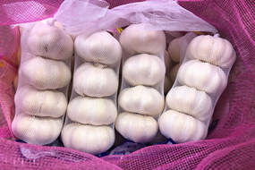 china natural garlic price for export