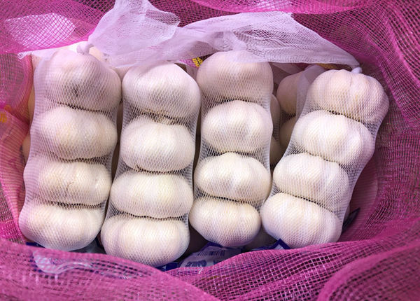 china natural garlic price for export