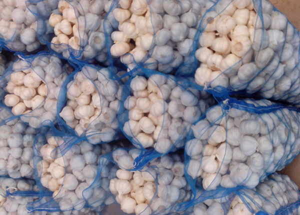 china/chinese best new natural crop fresh sack export white garlic