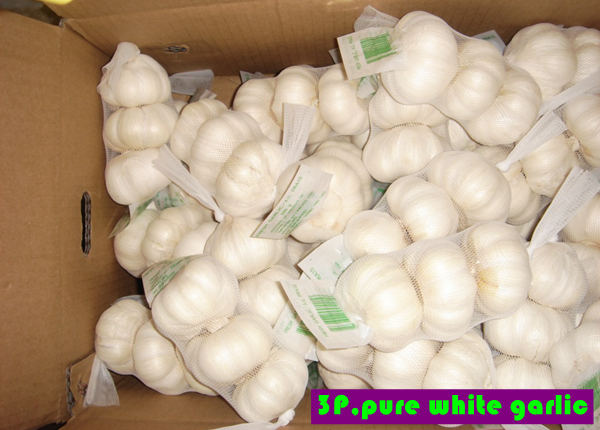 fresh garlic