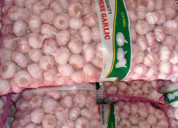 fresh garlic 20kg bag for export