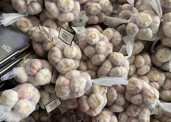 high quality fresh normal white garlic 500g