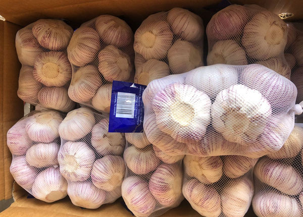 offers freshly priced white fresh garlic with best quality