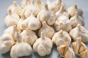 order fresh garlic online