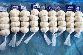 pure white garlic 4p bag new harvest