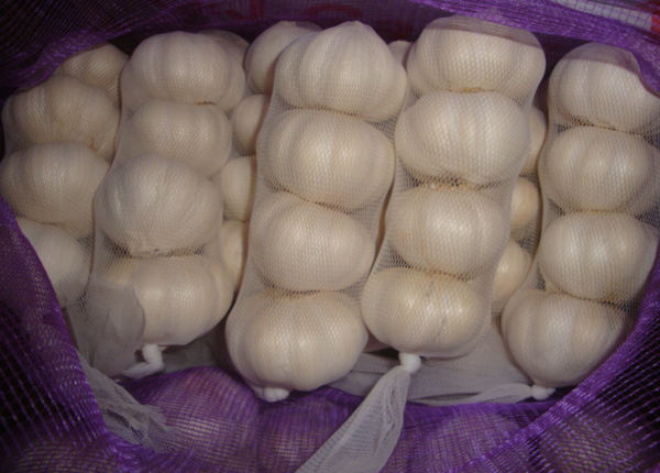 pure white garlic 4p bag new harvest
