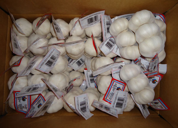 super quality european market hot sale chinese fresh garlic