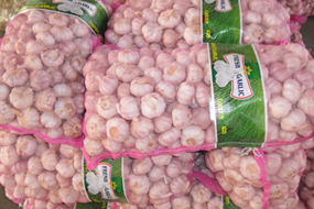 top quality china fresh garlic for wholesale