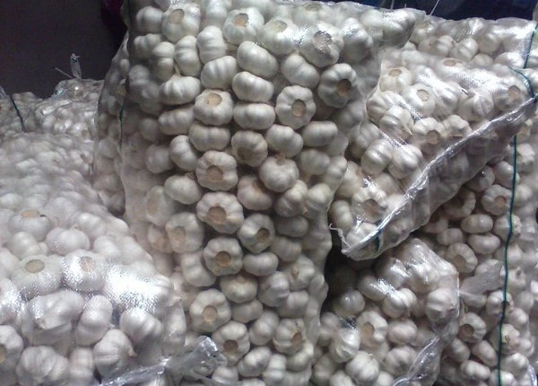 white garlic exporter from china