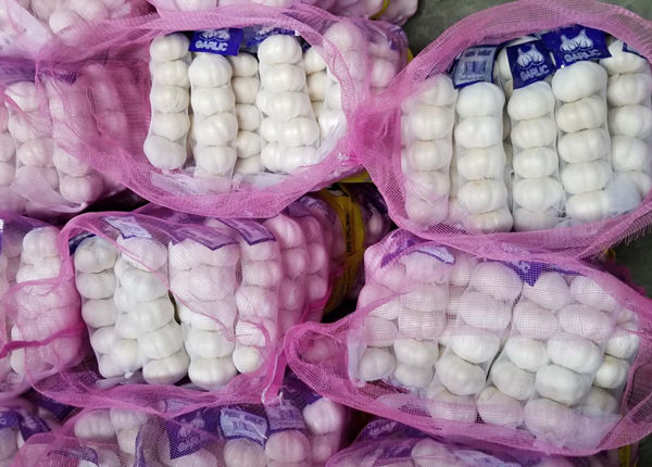 china leading fresh garlic wholesaler buyer in cheap garlic price