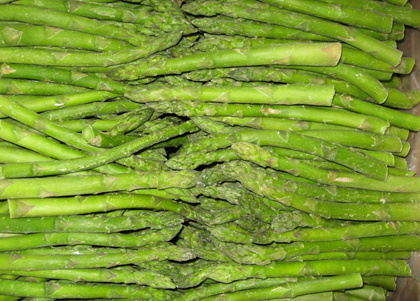 fresh iqf frozen green white asparagus spears cuts