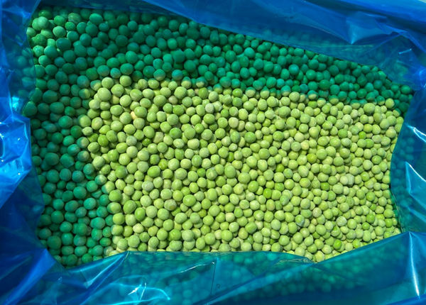 Fresh IQF Frozen Green Peas