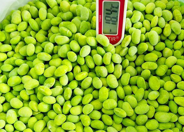 frozen soybean kernels frozen edamame IQF soybean peeled