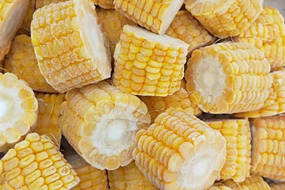 frozen sweet corn kernels cob whole cut maize grains supplier