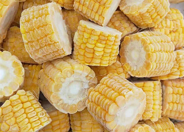 frozen sweet corn kernels cob whole cut maize grains supplier